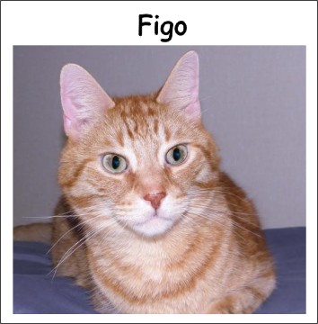 Figo